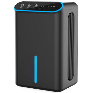 y2025ŐViz@ ^ y_uy`FŏUP!z É 2.5Le 1L/ ߗފ C@ }CiXCI@\t WotB^[ C/~J΍ I/