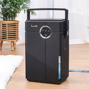 Lacidoll @ ^  @ ^@ e3.5Ly2025ŐViEAr\z_uy`F 債  C  @ rz[Xt RpNg 