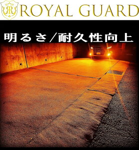 200nnCG[X 3^ 4^ 5^ 6^ Ao[ LEDtHOv PSX26W 14030LM {uh CK[h