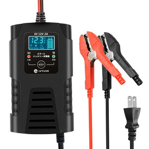 LVYUAN Vo 2A 6V/12V oCN SpXobe[[d ~drΉ pX C X}[gF TtF[V(E) AGM/GELԑΉ\ ԂȂ Sی@\t t[g@