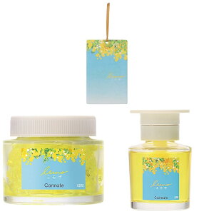 yZbgzJ[Cg(Carmate)  p F LUNO [m yӂƕ߂~U̍ 3_Zbgz nMO ݂艺 Ō` Q^Cv Lbh t̃^Cv u^ ~U t