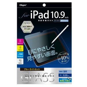 iPad 11C` 11 2025 / iPad 10.9C` 10 2022 p KXtB  u[CgJbgCAXH Z0492
