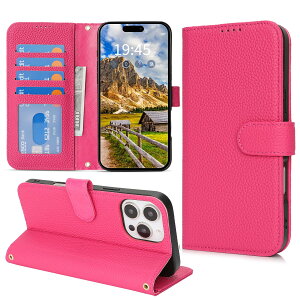 DEYHU Ή phone14pro max P[X 蒠^ J[h[ X^h@\ iphone 14 pro max P[X {v e ϏՌ iPhone14ProMax P[X 蒠^ ACtH14v}bNX U[ Jo[ [Ybh