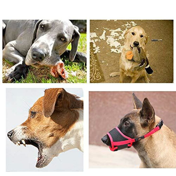 定番の中古商品 養楽堂 犬のマズル 犬用マズル口輪 拾い食い 無駄吠え 噛みグセ キズなめ 咬みつき防止 グルーミング 診察 S ピンク Shipsctc Org