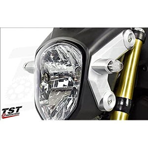 TST O (13-22) p tg LEDECJ[ pRlN^[t FLH01C (NA)