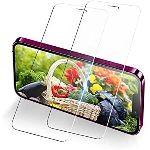 【2枚セット】iPhone 12 mini ガラス フィルム 極薄タイプ iPhone12ミニ 強化ガラス アイフォン12mini 保護フィルム あいふおん12ミニ 液晶保護フィルム 防護フィルム 12MINI用 ...