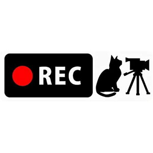 hCuR[_[ڃXebJ[ uLƃrfIJv Banner Type (wʂ̋SUVEX|[cS) (}Olbg) (zCg) (5.2cm×14.8cm) b15