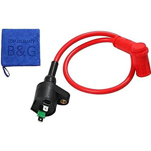y_ΓdAbvz COjbVRC L[ S ATV 12V IGRC vO 50cc-125cc NS50F NS-1 NSR50 Cu fBI dio AF Y[} oM[ [VO