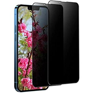 【覗き見防止/2枚セット】iPhone13 Promax ガラスフィルム 全面保護 のぞき見防止 アイフォン13 Pro max 保護フィルム iphone 13promax 強化ガラス プライバシー保護フィルム 覗き見防止(全面保護)