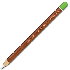 アップルペンシル2世代専用スキンシールス Apple Pencil iPad Pro Apple Pen テッカー 保護フィルム カバー ケース ウッド柄 （2枚組）W12、濃ウッド+グリーンキャップ
