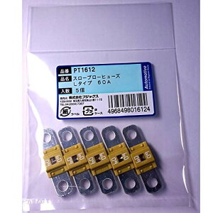 PT1612 3169(SBFW-L)X[u[q[Y L^Cv 60A 5 PT1612