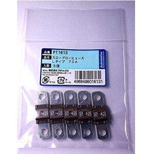 PT1613 3179(SBFW-L)X[u[q[Y L^Cv 70A 5 PT1613