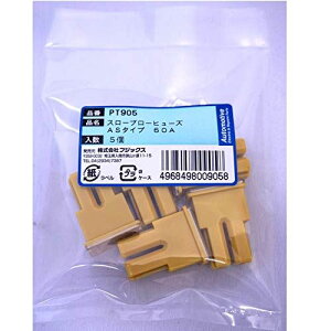 PT905 3067(SBFC-AS)X[u[q[Y 60A 5 PT905