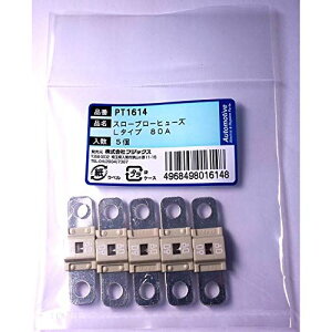 PT1614 3189(SBFW-L)X[u[q[Y L^Cv 80A 5 PT1614