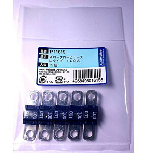 PT1615 3107(SBFW-L)X[u[q[Y L^Cv 100A 5 PT1615