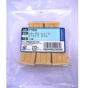 PT908 3166(SBFC-BT)X[u[q[Y 60A 5 PT908