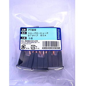 PT909 3186(SBFC-BT)X[u[q[Y 80A 5 PT909