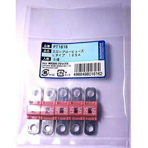 PT1616 3117(SBFW-L)X[u[q[Y L^Cv 125A 5 PT1616