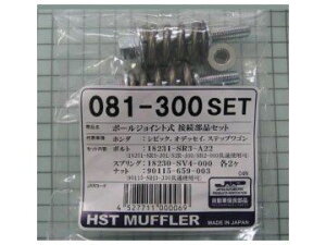 HST {[WCgڑiZbg 081-300SET z_ IfbZC VrbN XebvS
