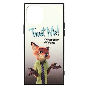 O}fB[Y Y[gsA/iPhone12/12 Pro(6.1C`)ΉXNGAKXP[X jbNECh DN-777B AC{[