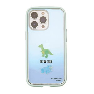iPhone13 iPhone13Pro Ή p^Cv fBYj[ IJOY Sʕی یtBt ϏՌ Ռz Xgbvz[ CX[d (bNXgNV[)