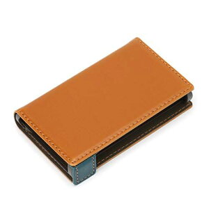 PGA Premium Style Premium Style WALKMAN NW-A100�p �t���b�v�J�o�[ [�L������] �P�[�X