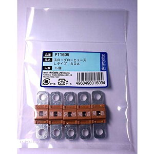 PT1609 3139(SBFW-L)X[u[q[Y L^Cv 30A 5 PT1609