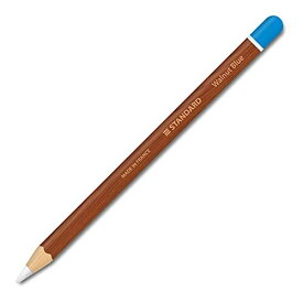 アップルペンシル2世代専用スキンシールス Apple Pencil iPad Pro Apple Pen テッカー 保護フィルム カバー ケース ウッド柄 （2枚組）W13、濃ウッド+ブルーキャップ