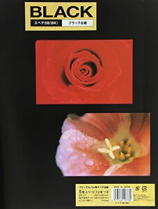 FUJICOLOR XyAAo䎆 t[ XyA 5B (BK) [ F10B BK p ] [ 䎆5 ] [ rYt ] 1~10y[W ubN 103780