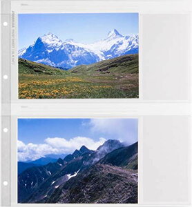 HAKUBA |[gAoDXp֑䎆 Jrl/2L 520149