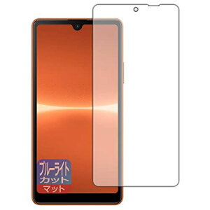 PDAH[ Xperia Ace III (SO-53C/SOG08/A203SO)Ή u[CgJbg[˒ጸ] ی tB {