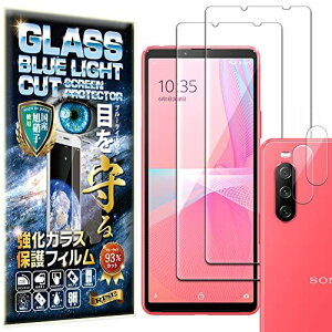 �y�u���[���C�g�J�b�g 93%�z2���{2�� RISE �K���X�t�B���� �J���� �����Y �t�B���� Xperia10 III /Xperia 10 III Lite (SO-52B/SOG04) �p �ی�t�B���� ���� �K���X ...