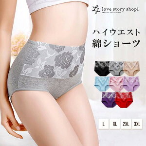 y3ȏ㑗zV[c fB[X  Rbg [΂ nCEGXg [  g 傫 K y ꂢ Vv ԕ o }^jeB 20 30 40 50 60 v[g 