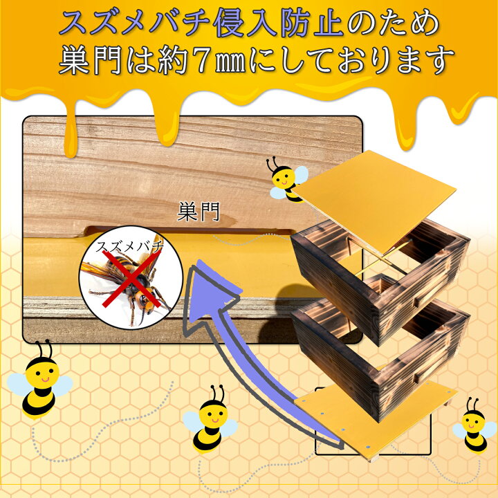 楽天市場】日本蜜蜂 巣箱 ニホンミツバチ 日本みつばち 重箱式巣箱 2段 