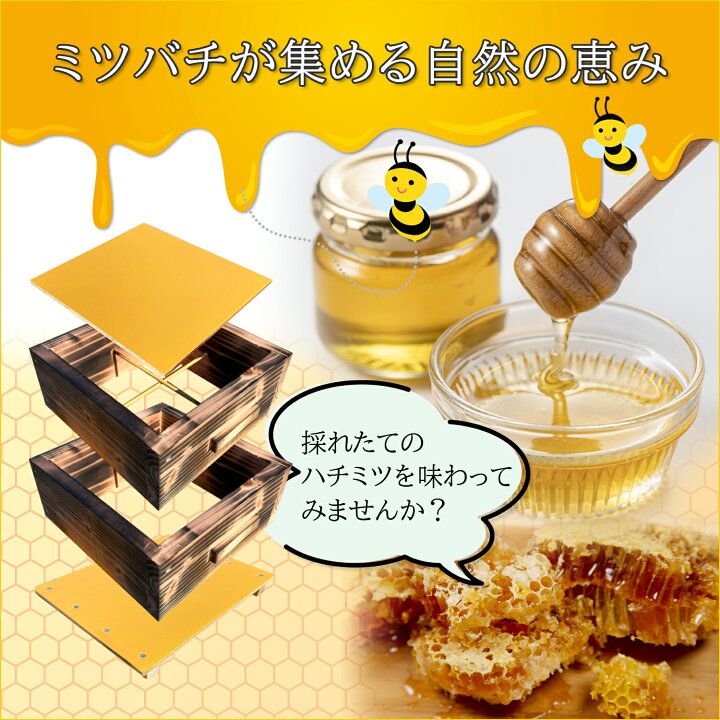 楽天市場】日本蜜蜂 巣箱 ニホンミツバチ 日本みつばち 重箱式巣箱 2段 