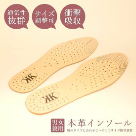 インソール 消臭 衝撃吸収 スポーツ 中敷き Sサイズ22〜25cm Lサイズ24〜27cm 男女兼用 通気性抜群 本革 底の薄い靴 ウォーキング メンズ レディース シューケア