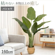 【0のつく日x10％OFFクーポン】 フェイクグリーン 人工観葉植物 大型 160cm 観葉植物 スタンド 造花 水や…