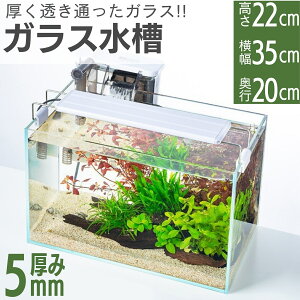 y݌ɏzKX 500~N[|zz! 14L 35×20×22cm 35cm ^ ANAVXe Mы   CAEg NA   NAKX I[KX ANAE 