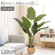 ＼10%OFFクーポン＆お買い物マラソン!／ フェイクグリーン 人工観葉植物 フェイク 大型 120cm 観葉植物 …