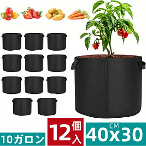 y5{|Cg+300~N[|z 12 sDzv^[ 10K sDz|bg 40cm x 30cm sDz v^[ Aؔ tFgv^[ y y ƒ؉ x_؉   K[fj