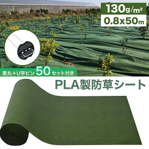 hV[g PLA  0.8m×50m ΂ƍ̗ʎgp\ 10Nۏ sDz 130g/m2  ڋl܂h~ UVJbg G΍ 悯V[g ƒ؉ | [ yyV1ʎ܁z