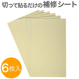 _XpZ10%It^ CV[g  CV[g 6 15x25cm 0.8mm \t@[C U[ oCNV[gC e[v CV[g \郌U[ V[^Cv tFCNU[n ֎q