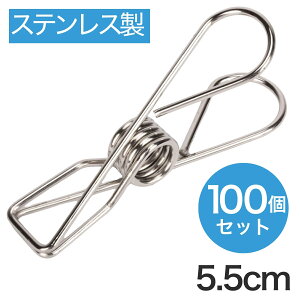 y݌1z oT~ 500~N[|zzI 100Zbg  XeX 킢 x_  [ olŔUh~ ߗނɐՂɂ I[XeXŎKтȂ Jɋ 
