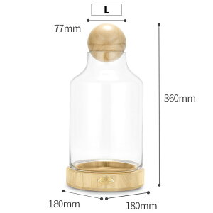 y1-7IN[|p16%OFFz VK[̃^O[ tx[{bNX VK[x[P[X i ̓ 蕨 v[g