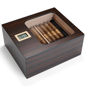 y20-28IN[|p16%OFFz tP[X VK[P[X ێ g i  i t{bNX   VK[ e tP[X xv  i ێ ؐV