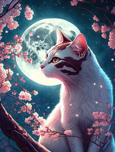 yN[|p10%OFFz hJLbg 5D o&AB _ChA[g Lbg r[YhJ  L S _ChyCeBOCeA nhCh NXXeb` _C