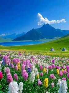 y9-18IN[|p15%OFFz hJLbg 5D o&AB _ChA[g Lbg r[YhJ i S _ChyCeBOCeA nhCh NXXeb` _