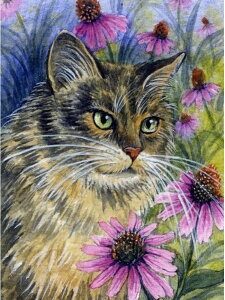 yN[|p10%OFFz hJLbg L 5D o&AB _ChA[g Lbg r[YhJ S _ChyCeBOCeA nhCh NXXeb` _CA