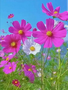 yN[|p10%OFFz hJLbg 5D o&AB _ChA[g Lbg r[YhJ S _ChyCeBOCeA nhCh NXXeb` _CAh