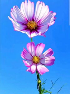 yN[|p10%OFFz hJLbg 5D o&AB _ChA[g Lbg r[YhJ S _ChyCeBOCeA nhCh NXXeb` _CAh